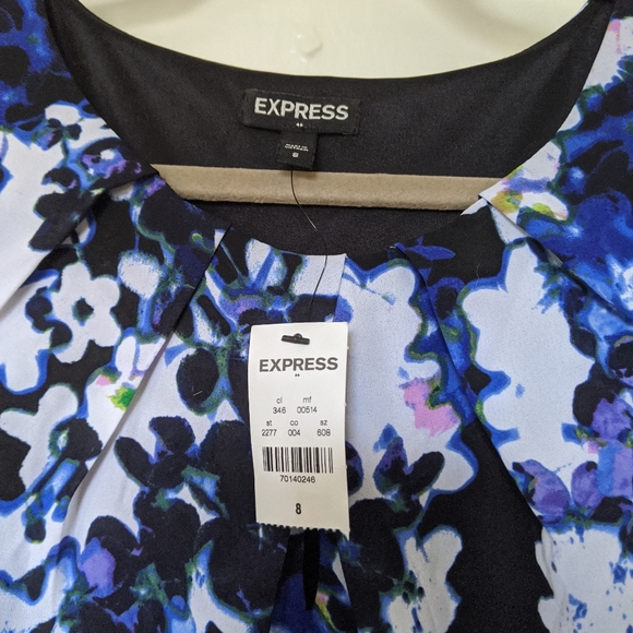 Express Dress - Picture 3 of 3